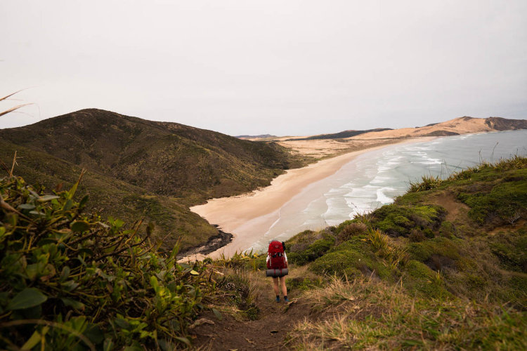 Caminhada Trilha de longo Curso Te Araroa Trail