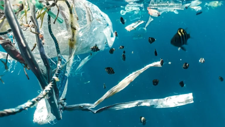 A ilha de lixo plástico no Pacífico - Unsplash / Naja Bertolt Jensen
