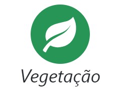 Ícone da seção de vegetação no site do BDIA