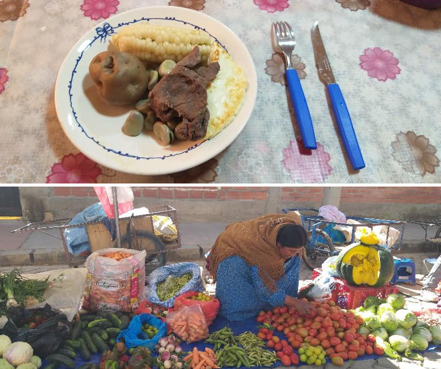 Alimentação em ambientes de altitude