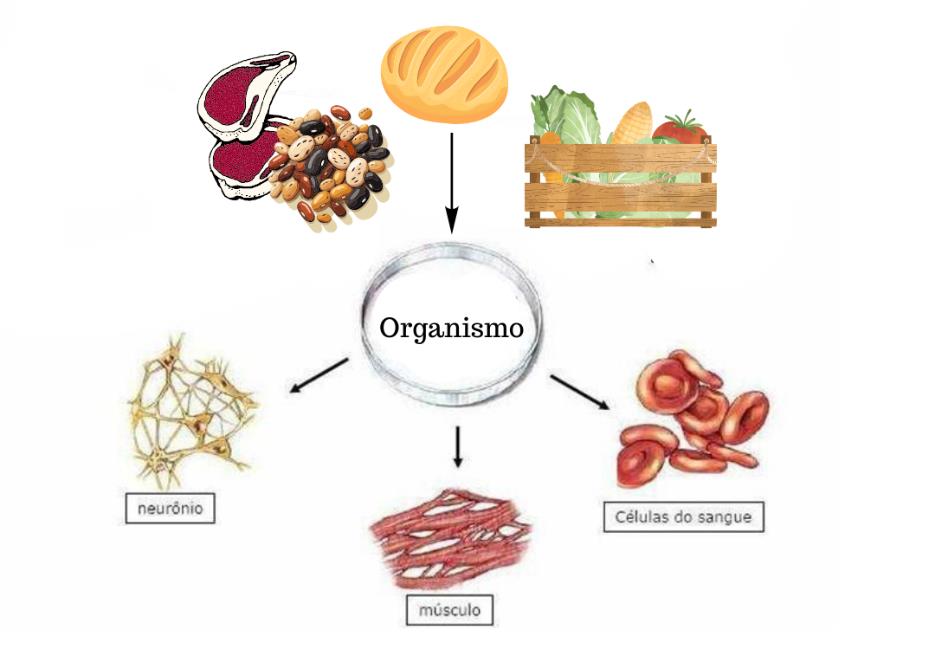 Diagrama alimentação