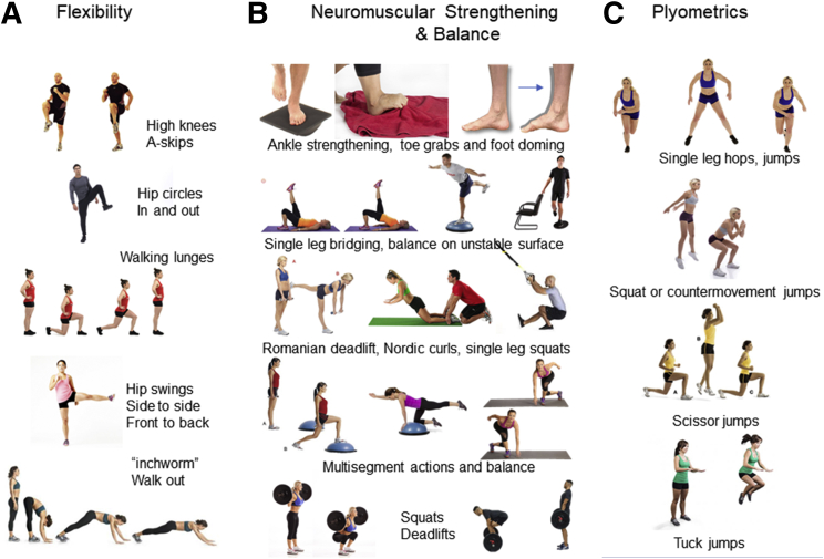 Fig 2. Exemplos de exercícios para corredores em trilha como parte de programas de pré-habilitação e reabilitação. (A) Movimentos dinâmicos de flexibilidade multiarticular. (B) Fortalecimento e equilíbrio neuromuscular. (C) Atividades pliométricas.