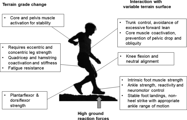 Principais esforços mecânicos para o sistema musculoesquelético durante a corrida de trilha e estratégias de movimento necessárias para mitigar o risco de lesão.