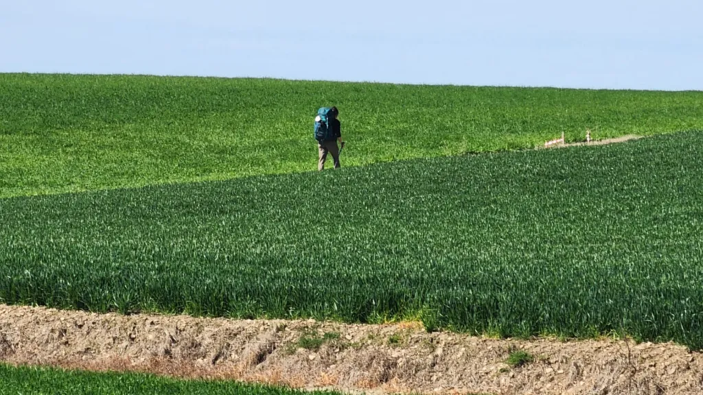 Camino de Santiago de Compostela