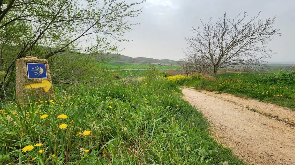 Solitude durante o Caminho de Santiago de Compostela