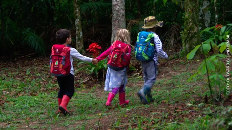 A urgência de promover conexões de crianças e adolescentes com a natureza