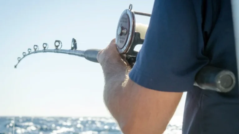 Curso gratuito de mínimo impacto na pesca - Leave No Trace