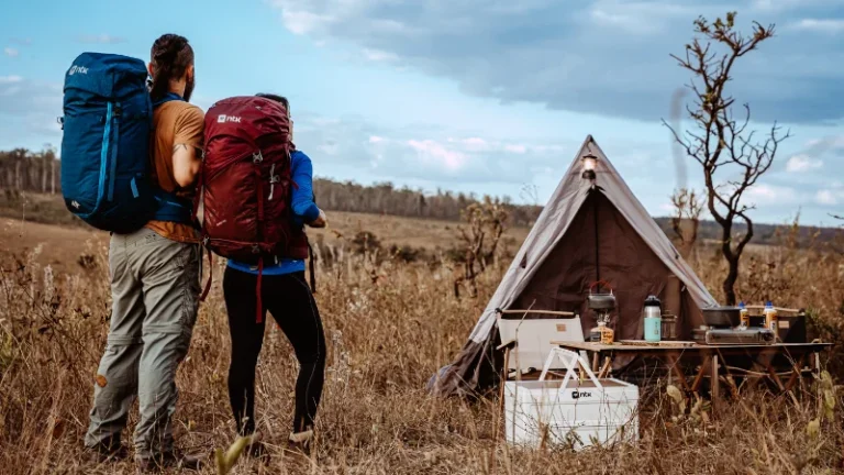 NTK completa 50 anos