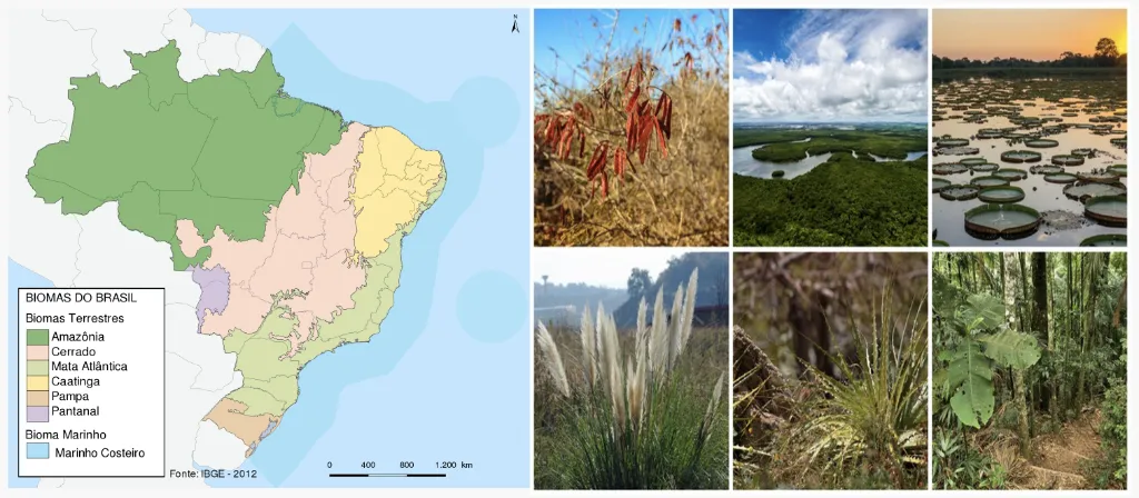 Biomas brasileiros