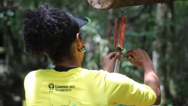 Gear Tips e Rede Brasileira de Trilhas: parceria impulsiona experiências sustentáveis na natureza