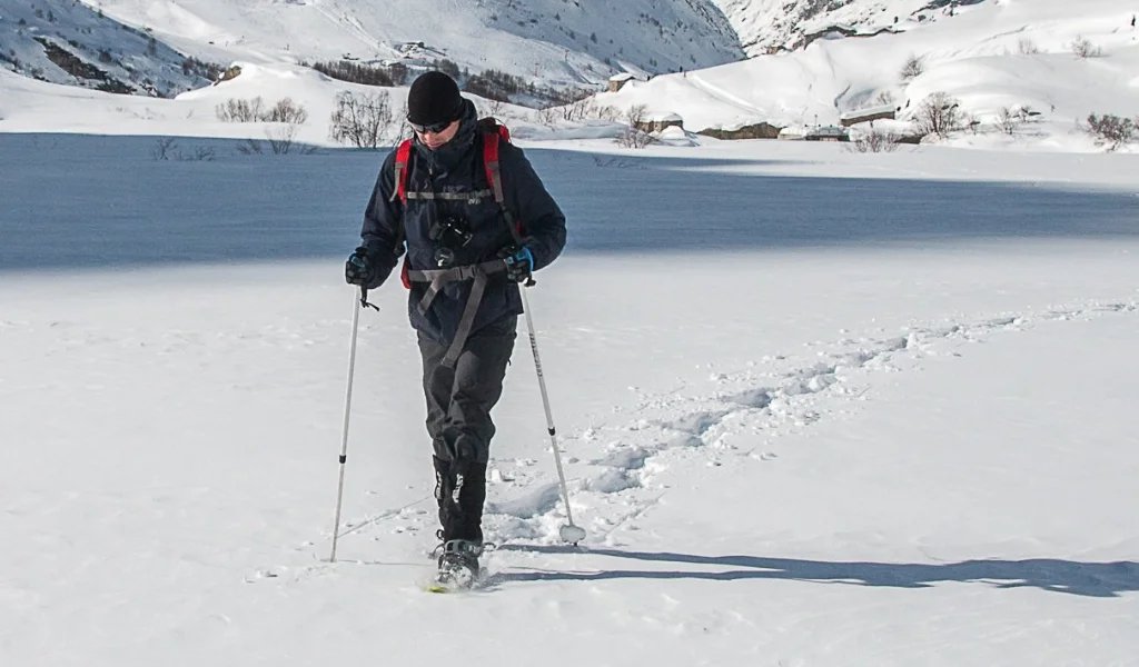 Regulação da temperatura corporal no frio - foto: Alex - Pixabay