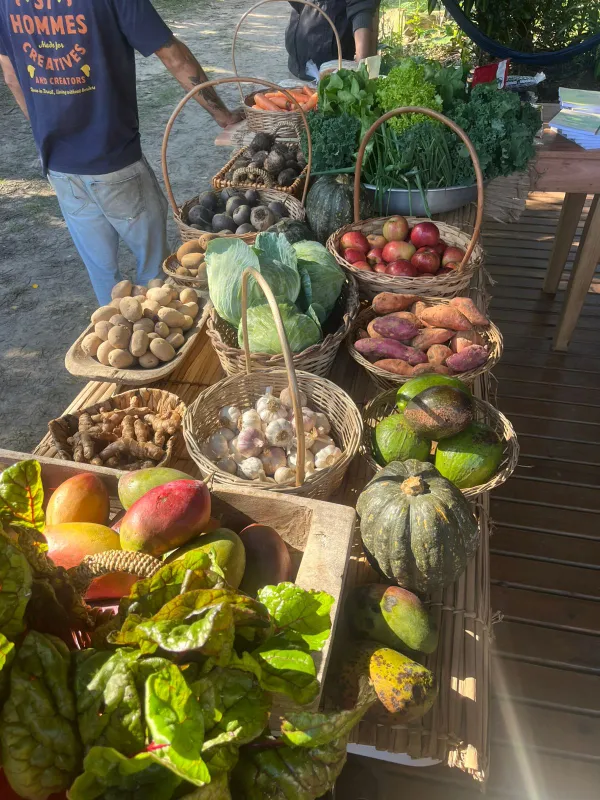 Alimentos produzidos na agroflesta da Namastê