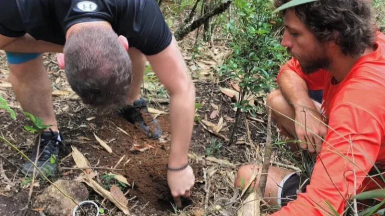 Do shit tube ao adubo: o guia que transforma dejetos em terra fértil