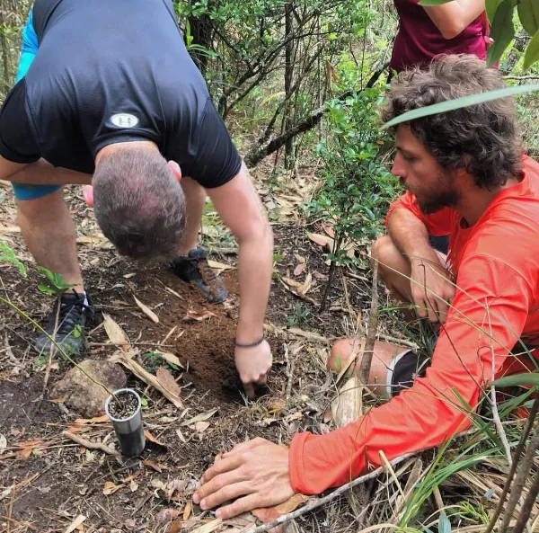 Luiz plantando mudas na região