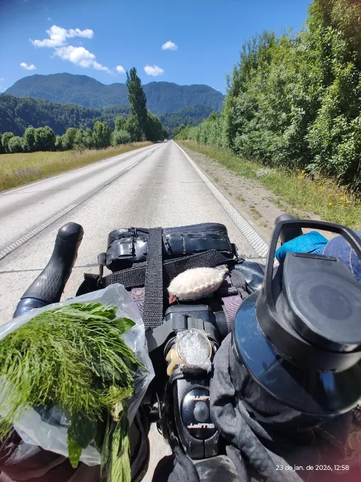 Na bike de Suzi, ervas recebidas de uma anfitriã