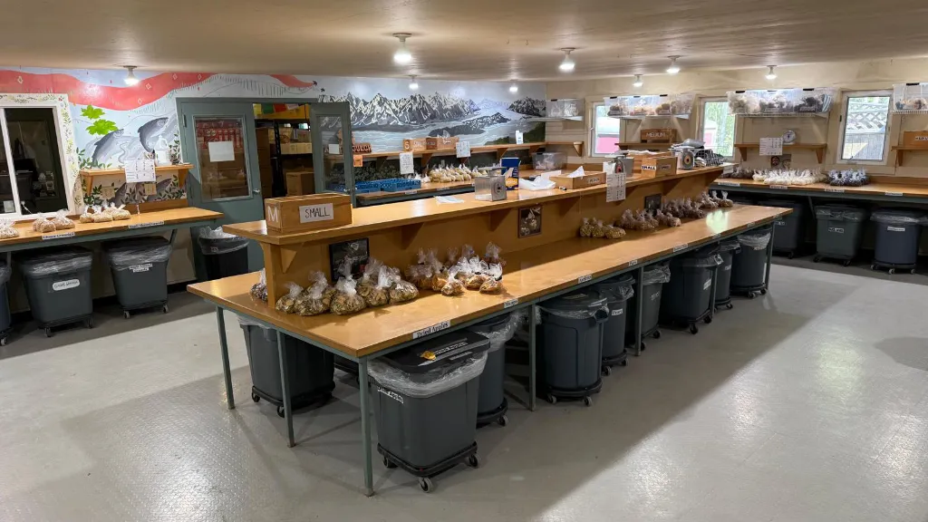 NOLS Alaska - Ration Room