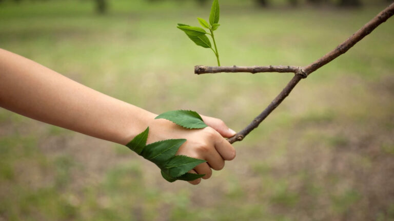 Sustentabilidade no Turismo de Natureza