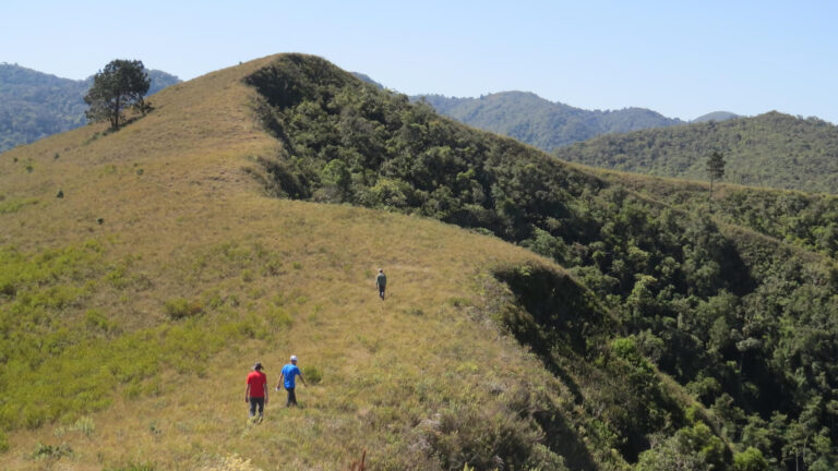 O poder transformador da natureza