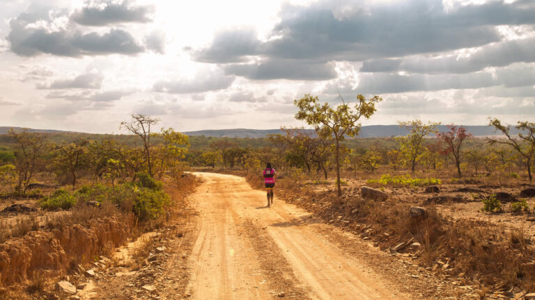 Caminhos de Rosa