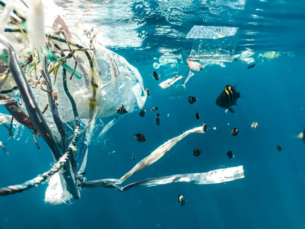 o Lixo da Ilha de plástico - Unsplash / Naja Bertolt Jensen