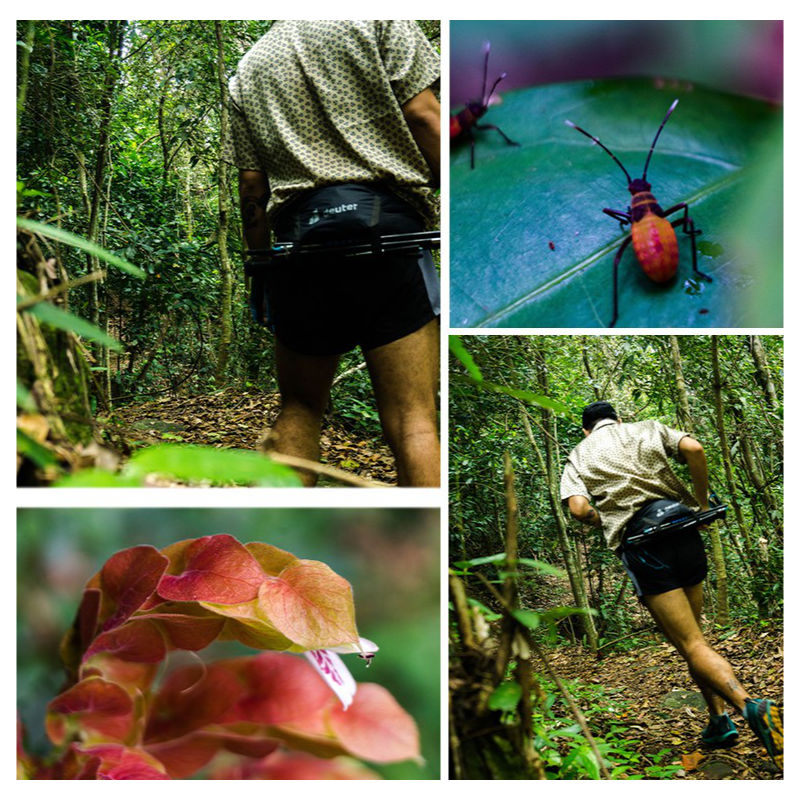 Trail Run na Floresta da Tijuca