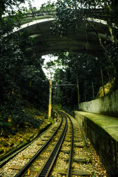 Trilhos do Corcovado na Floresta da Tijuca